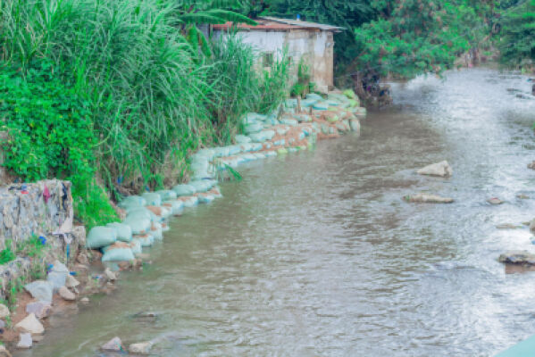 Protecting Mirongo river in the city of Mwanza through Nature-based Solutions in the SASA project funded by the GIZ