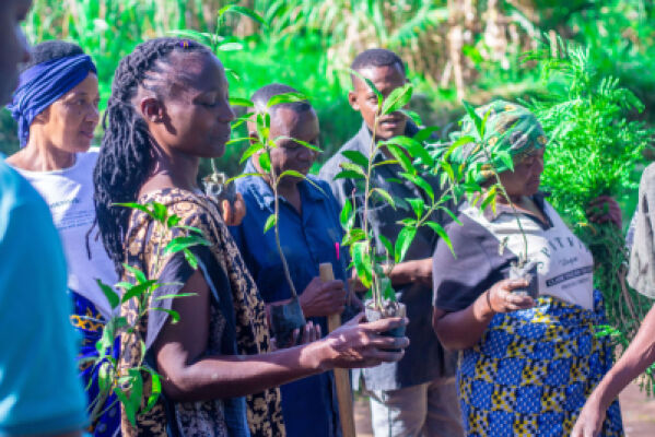 In our SASA project funded by the GIZ in Mwanza, we were able to mobilize local community and schools to use Nature-based Solutions to conserve their environments
