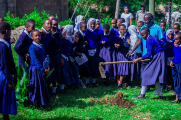 In our SASA project funded by the GIZ in Mwanza, we were able to mobilize local community and schools to use Nature-based Solutions to conserve their environments