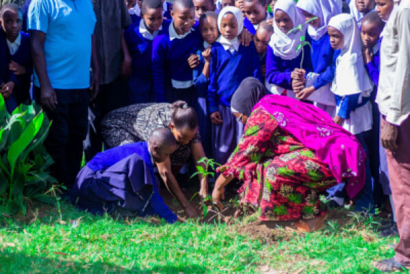 In our SASA project funded by the GIZ in Mwanza, we were able to mobilize local community and schools to use Nature-based Solutions to conserve their environments